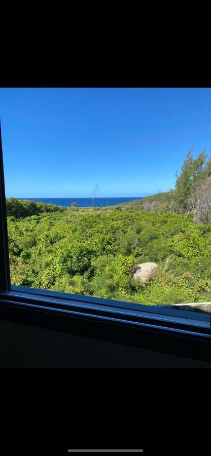 Les Villas Du Cap Piscine Chauffee Avril A Octobre Saint-Joseph Esterno foto