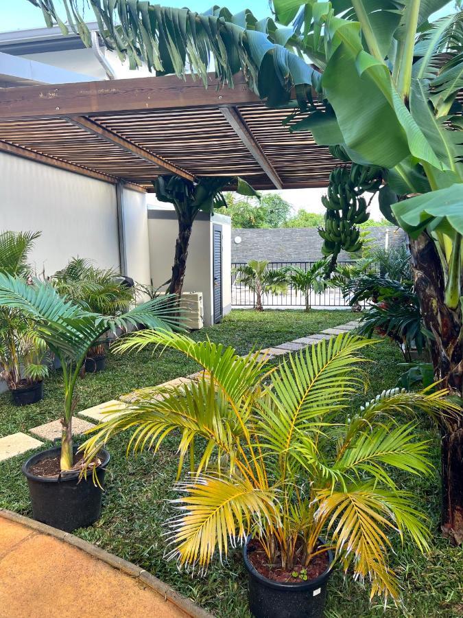 Les Villas Du Cap Piscine Chauffee Avril A Octobre Saint-Joseph Esterno foto